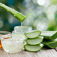 redirigida 26 como conservar el aloe vera curso gratis