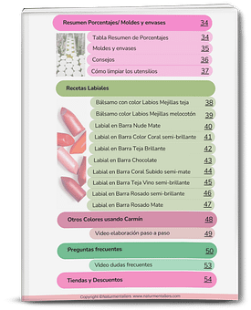 Manual Crea Labiales con Pigmentos Naturales 24 INDICE CURSO LABIALES