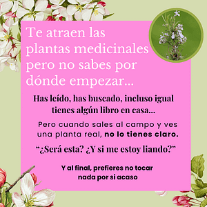 salida botanica plantas medicinales barcelona