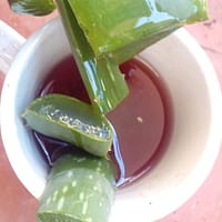 como conservar el aloe vera el alcibar cosmetica natural