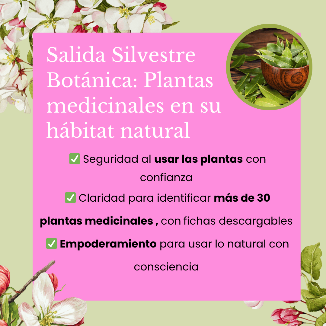Salida: Identificar plantas medicinales Sábado 24 mayo 4 salida silvestre plantas medicinales barcelona
