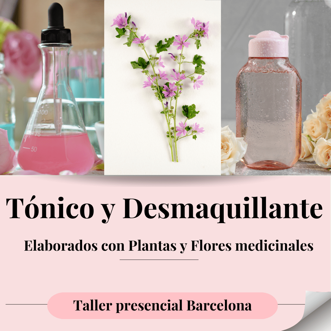 Participantes elaborando tónico facial y agua micelar con ingredientes naturales en Barcelona.