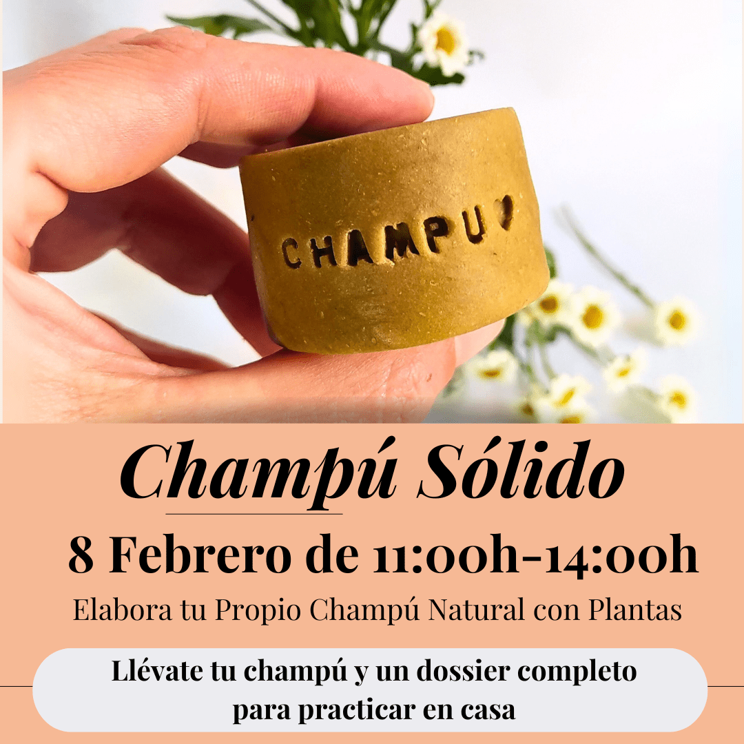 Cartel información del taller de champu solido impartdo en barcelona en el 2025