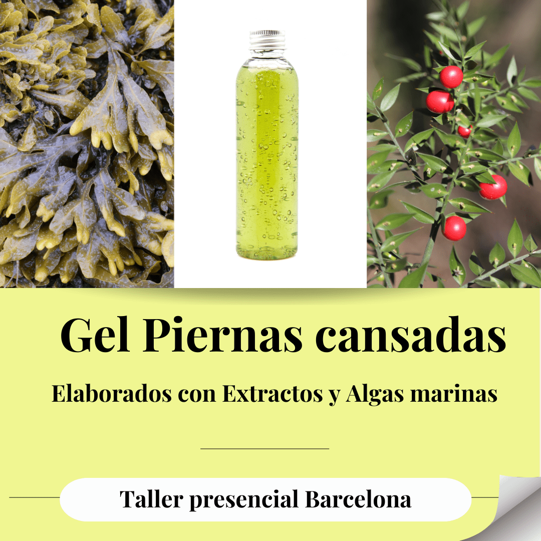 Creación de gel para aliviar piernas cansadas con algas y extractos vegetales en taller presencial barcelona