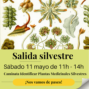 Grupo aprendiendo sobre plantas medicinales en una salida silvestre cerca de Barcelona.