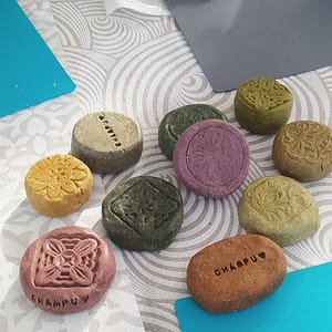 Talleres de Cosmética natural y plantas medicinales para grupos y celebraciones en barcelona 6 champus solidos elaborados por alumnas de naturmentallers