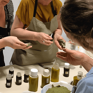 alumnas elaborando cosmetica natural en los talleres presenciales de barcelona de naturmentallers