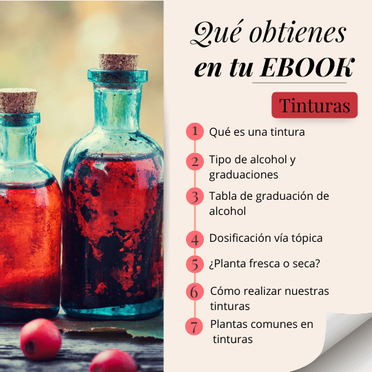 elabora tus extractos vegetales curso online descargable