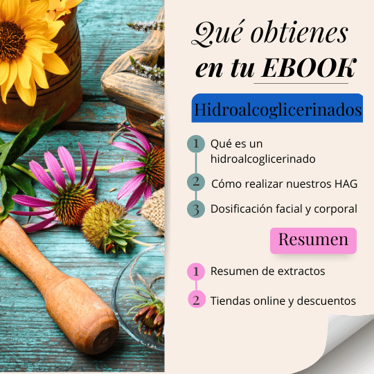 Formula tus extractos Ebook
