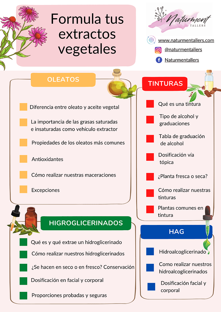 Contenido de la guía para crear extractos vegetales efectivos en cosmética natural