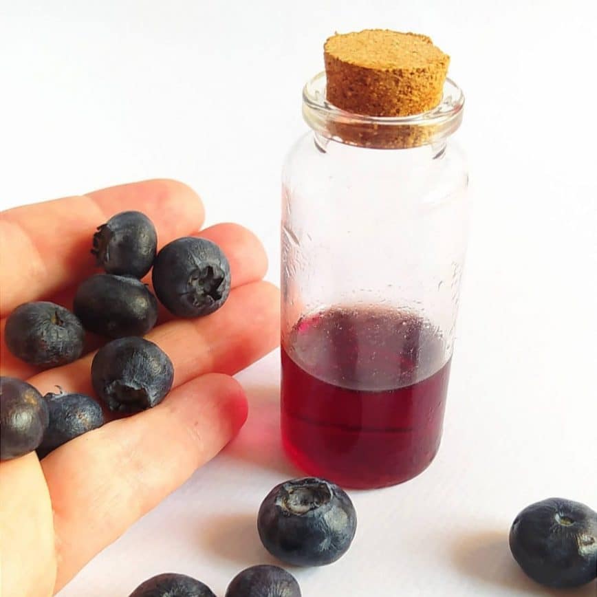 extracto de arandano