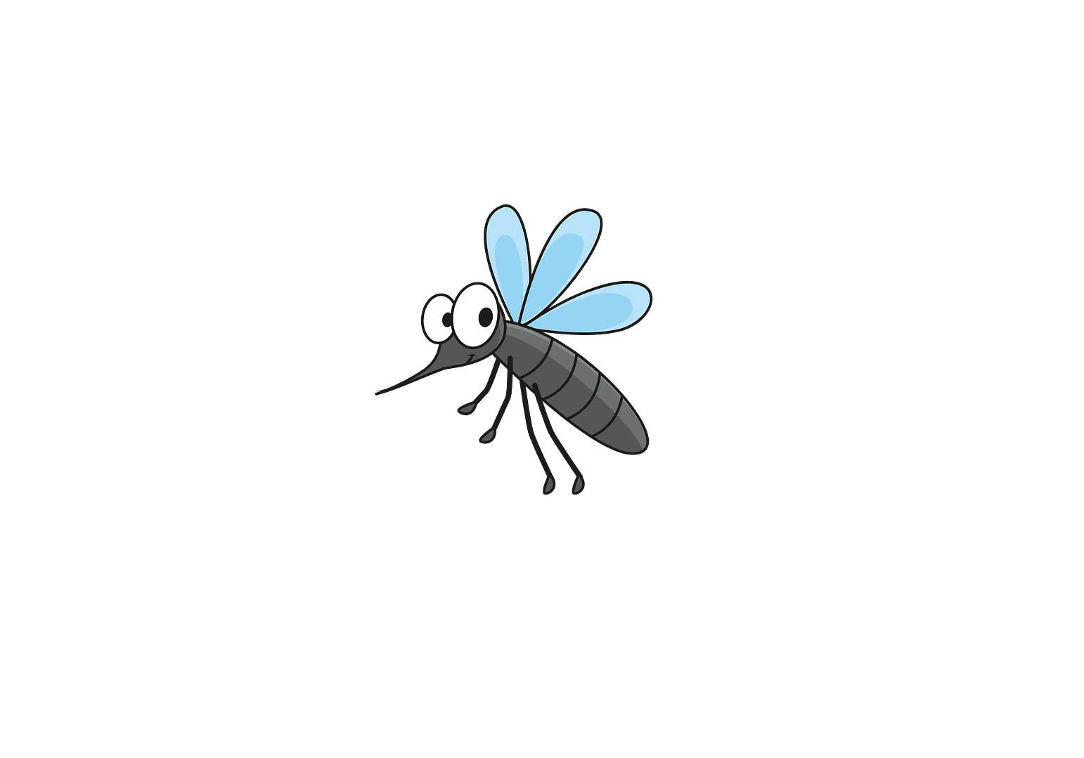 mosquito