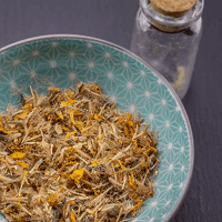 arnica montana seca