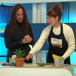 Talleres de Cosmética Natural en Barcelona – Empresas, Colegios y Eventos 22 natalia naturmentallers television programa sense control