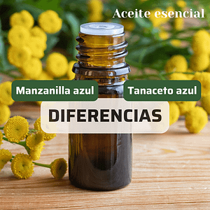 Comparativa de Aceites: Manzanilla y Tanaceto 2 Diferencias manzanilla azul y tanaceto azul