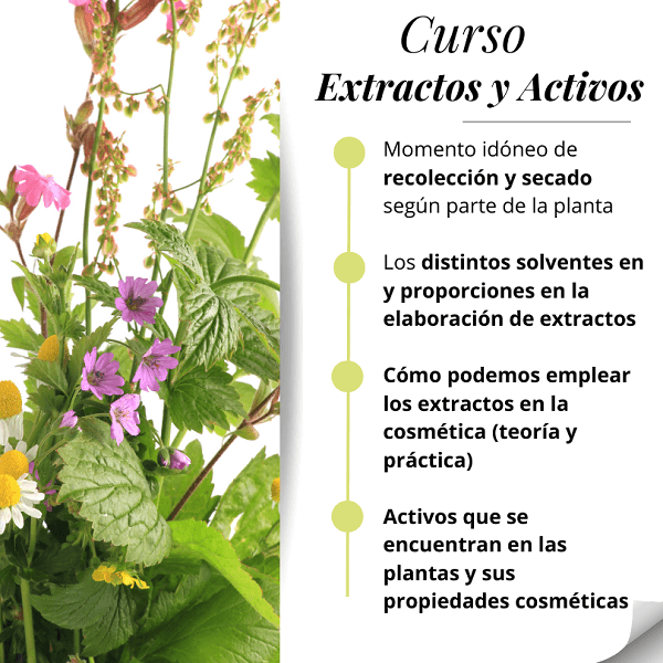 Activos y Solventes en los EXTRACTOS (Paga y señal 10€) 2 Activos y Solventes en los EXTRACTOS (Paga y señal 10€) - Imagen 2