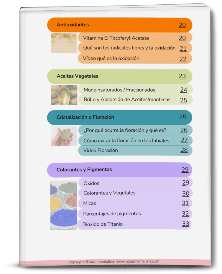 Índice del curso de barras de labios naturales página 2 con temario y desarrollo de la formulación