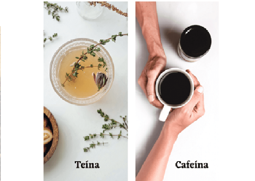 ¿Té o Café? ¿Teína o cafeína? Diferencia, absorción, duración…