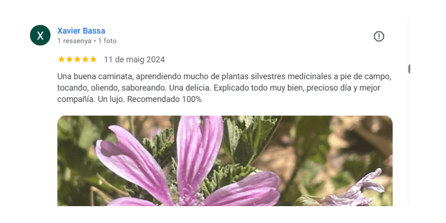 testimonios y reseñas de naturmentallers talleres de cosmetica natural en barcelona y plantas medicinales