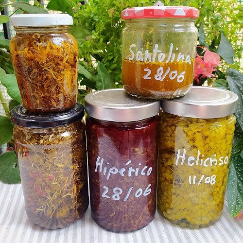 ¿Cómo desteinar un té? 14 oleatos