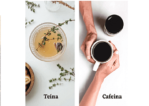 ¿Té o Café? ¿Teína o cafeína? Diferencia, absorción, duración... 41 Té o café, diferencias entre teína y cafeína