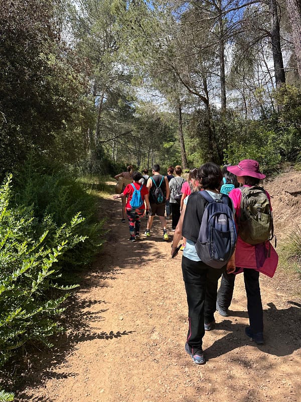 Sobre mí | Natalia Gurrera – Cosmética Natural con Plantas 8 Grupo caminando por el bosque en una salida de plantas silvestres