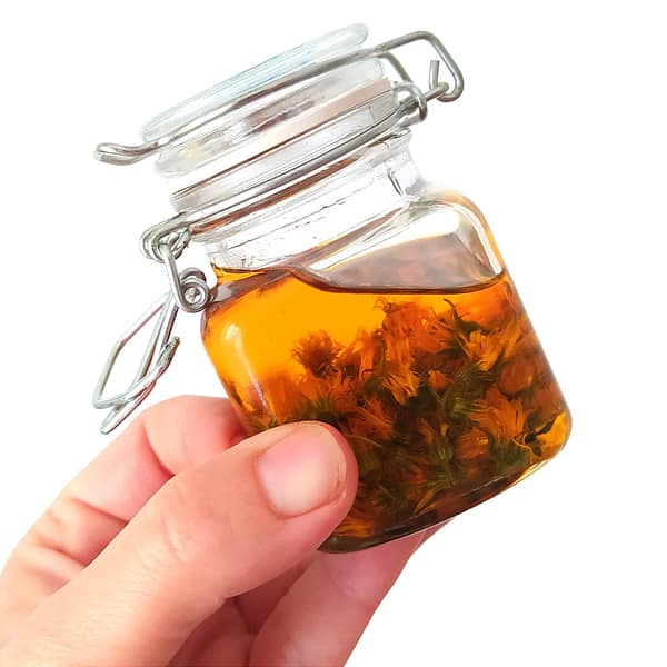 Sobre mí | Natalia Gurrera – Cosmética Natural con Plantas 6 Oleato de caléndula casero macerando en un tarro de cristal
