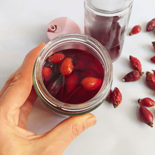 Crear extractos vegetales efectivos para tus fórmulas cosméticas 3 Vinagre de escaramujo casero en tarro de vidrio, con escaramujos secos alrededor
