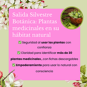 salida silvestre plantas medicinales barcelona